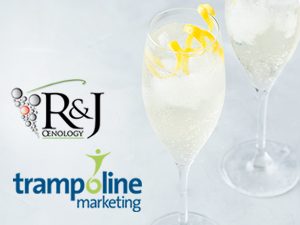 The symbiosis of wine and marketing sciences between Trampoline MArketing and R&J Oenology
