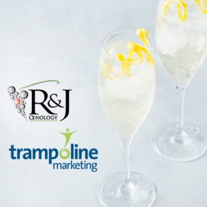 PArtnership between Trampoline Marketing and R&J Oenology